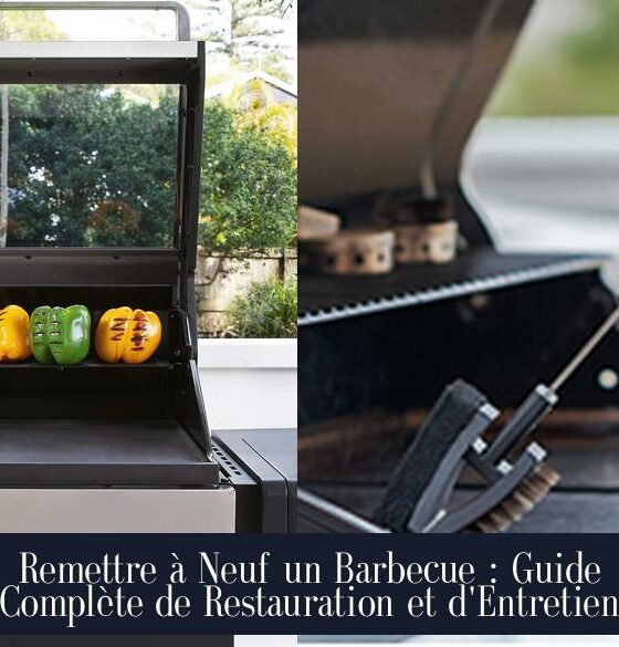 Remettre à Neuf un Barbecue : Guide Complète de Restauration et d'Entretien