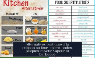 Alternatives pratiques à la cuisson au four : micro-ondes, plaques, mixeur, vapeur et barbecue