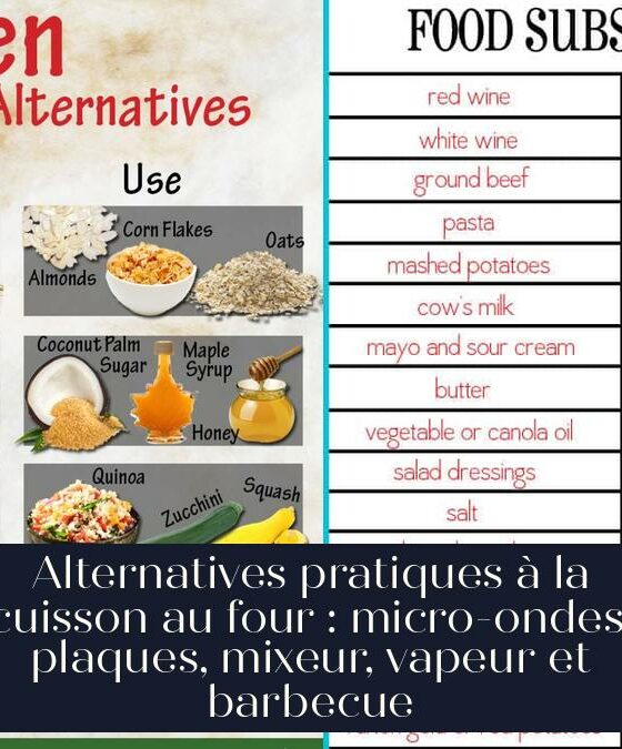 Alternatives pratiques à la cuisson au four : micro-ondes, plaques, mixeur, vapeur et barbecue