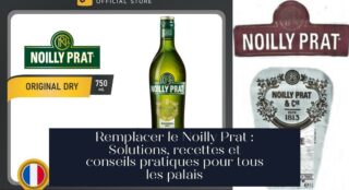 Remplacer le Noilly Prat : Solutions, recettes et conseils pratiques pour tous les palais