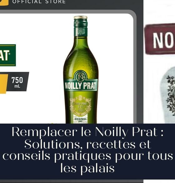 Remplacer le Noilly Prat : Solutions, recettes et conseils pratiques pour tous les palais