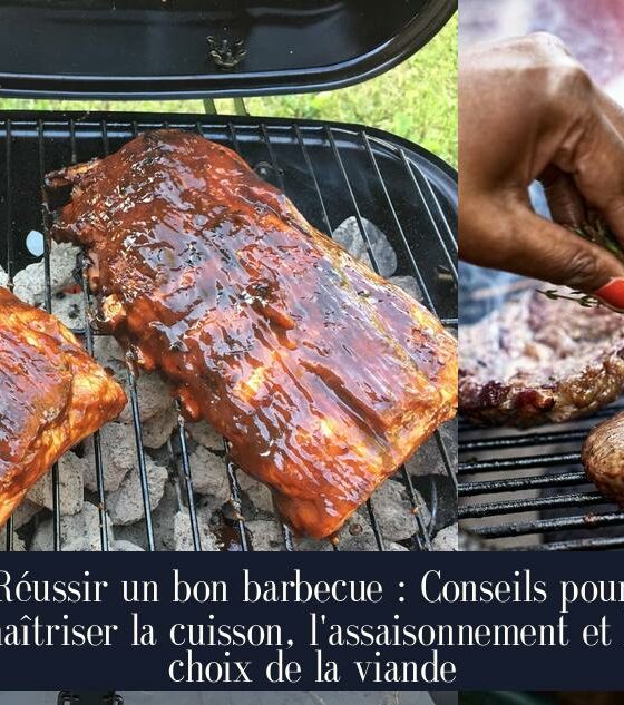 Réussir un bon barbecue : Conseils pour maîtriser la cuisson, l'assaisonnement et le choix de la viande
