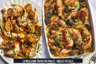 La meilleure partie du poulet : Quelle est-elle