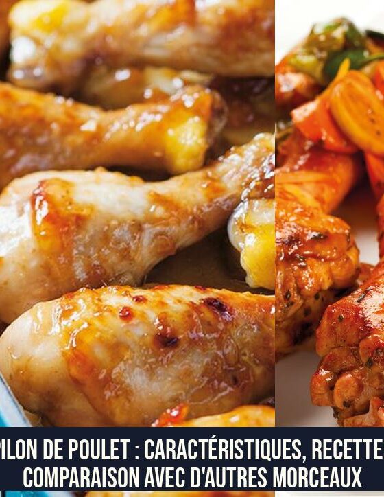Le pilon de poulet : caractéristiques, recettes et comparaison avec d'autres morceaux