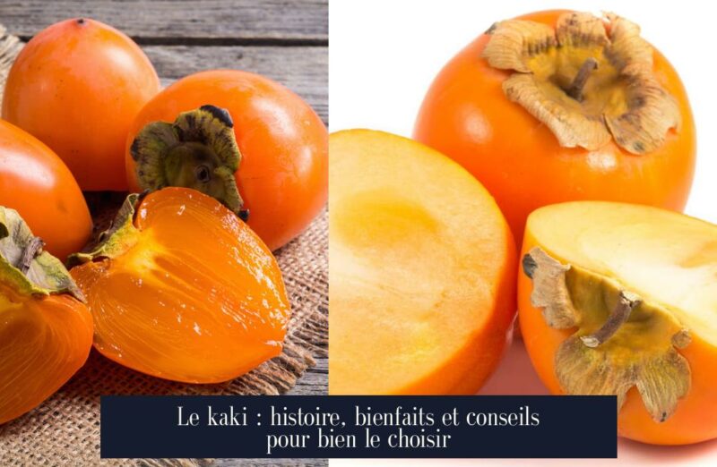 Le kaki : histoire, bienfaits et conseils pour bien le choisir