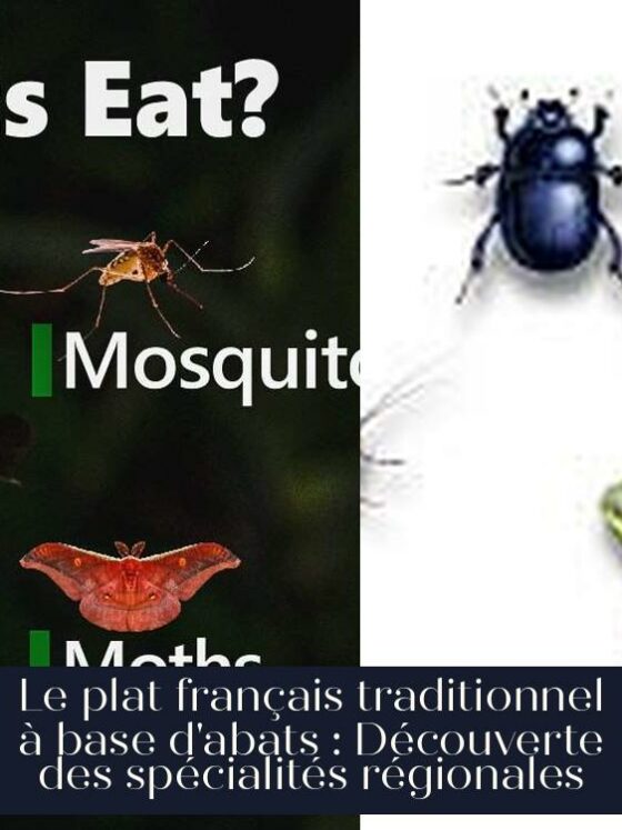 Le plat français traditionnel à base d'abats : Découverte des spécialités régionales