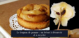 Le trognon de pomme : un trésor à découvrir et à recycler