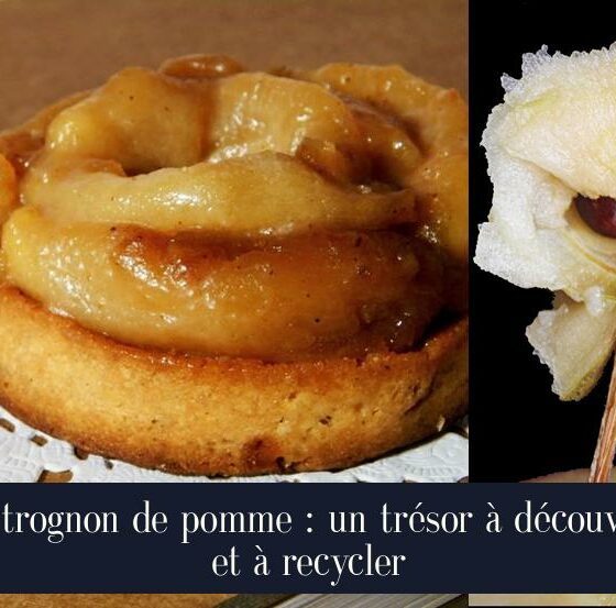 Le trognon de pomme : un trésor à découvrir et à recycler