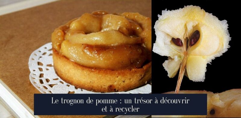 Le trognon de pomme : un trésor à découvrir et à recycler