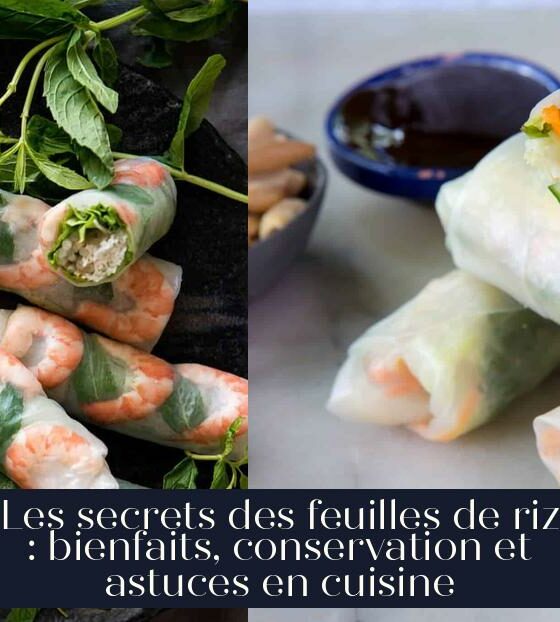 Les secrets des feuilles de riz : bienfaits, conservation et astuces en cuisine