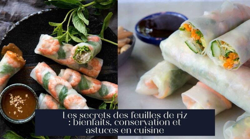Les secrets des feuilles de riz : bienfaits, conservation et astuces en cuisine