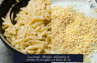Les risoni : Histoire, utilisation et recettes de ces pâtes en forme de riz