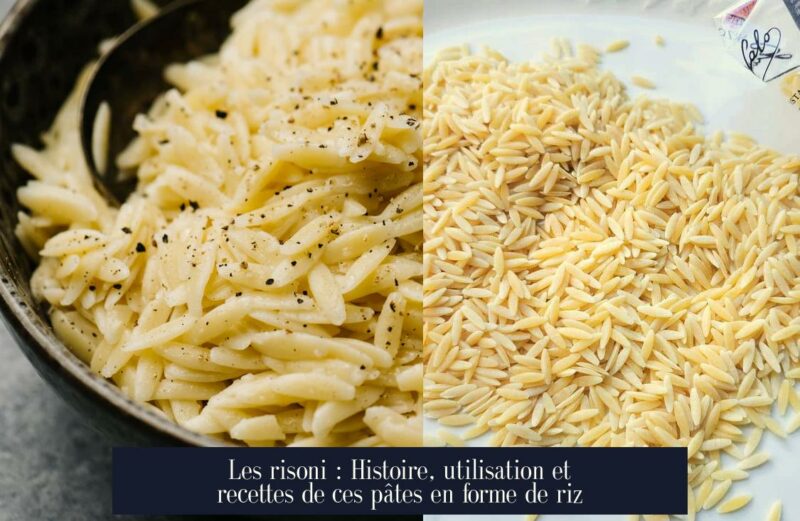 Les risoni : Histoire, utilisation et recettes de ces pâtes en forme de riz