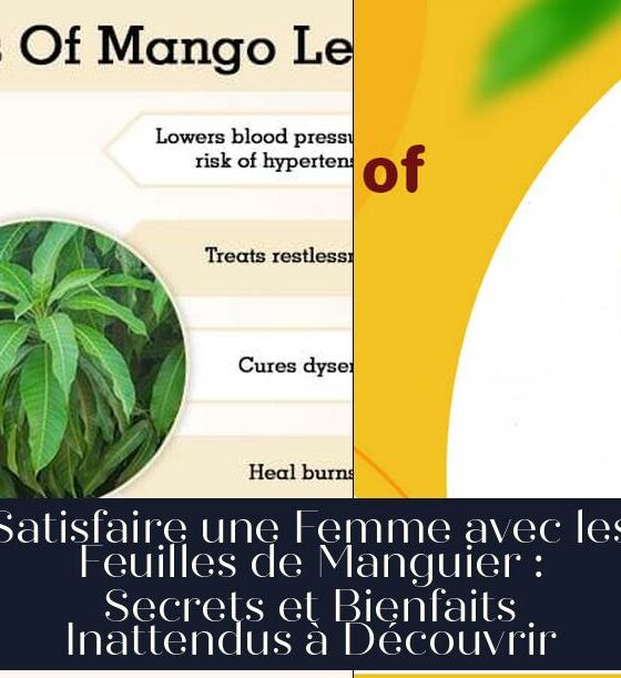 Satisfaire une Femme avec les Feuilles de Manguier : Secrets et Bienfaits Inattendus à Découvrir