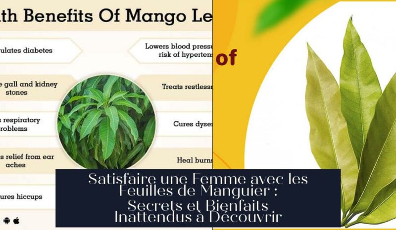 Satisfaire une Femme avec les Feuilles de Manguier : Secrets et Bienfaits Inattendus à Découvrir