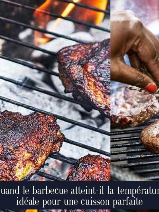 Quand le barbecue atteint-il la température idéale pour une cuisson parfaite