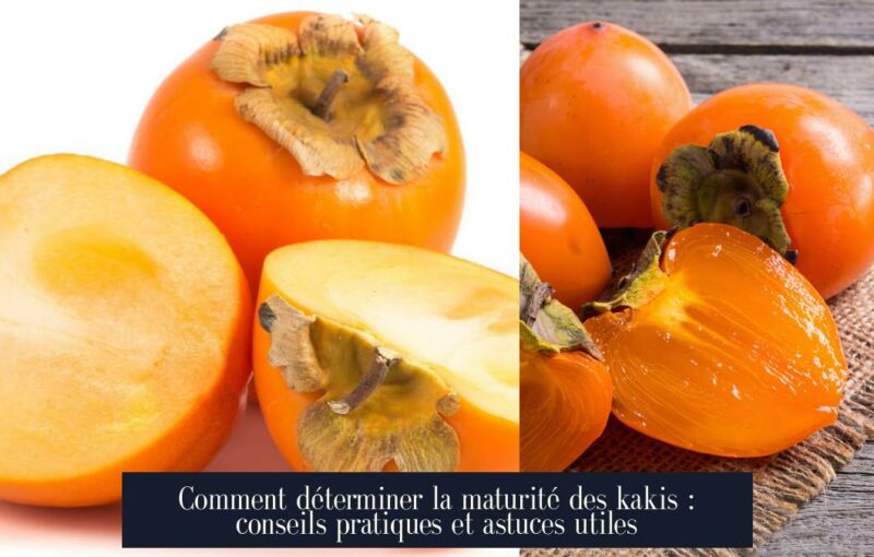 Comment déterminer la maturité des kakis : conseils pratiques et astuces utiles