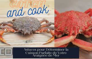 Astuces pour Déterminer la Cuisson Parfaite de Votre Araignée de Mer