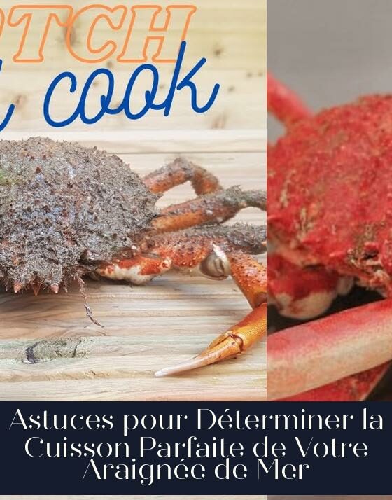 Astuces pour Déterminer la Cuisson Parfaite de Votre Araignée de Mer