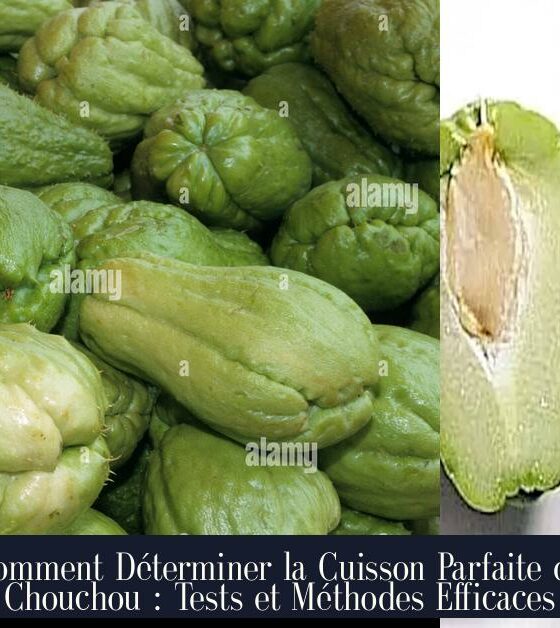 Comment Déterminer la Cuisson Parfaite du Chouchou : Tests et Méthodes Efficaces