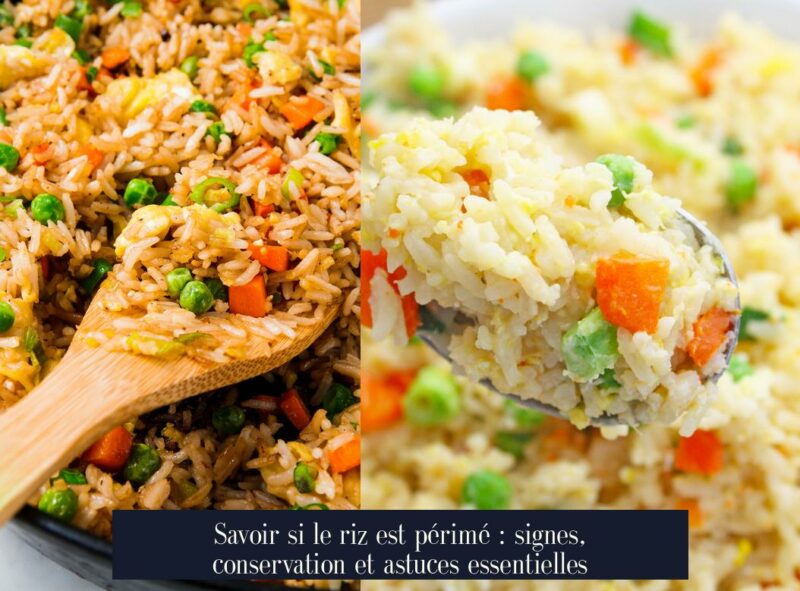 Savoir si le riz est périmé : signes, conservation et astuces essentielles