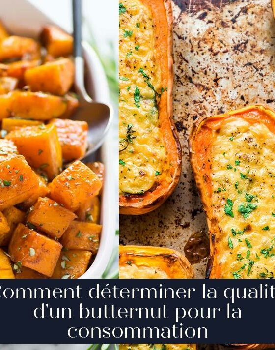 Comment déterminer la qualité d'un butternut pour la consommation