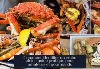 Comment identifier un crabe plein : guide pratique pour amateurs et gourmands
