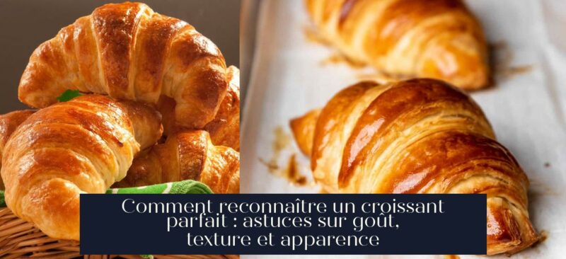 Comment reconnaître un croissant parfait : astuces sur goût, texture et apparence