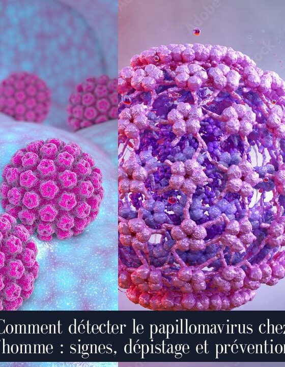 Comment détecter le papillomavirus chez l'homme : signes, dépistage et prévention