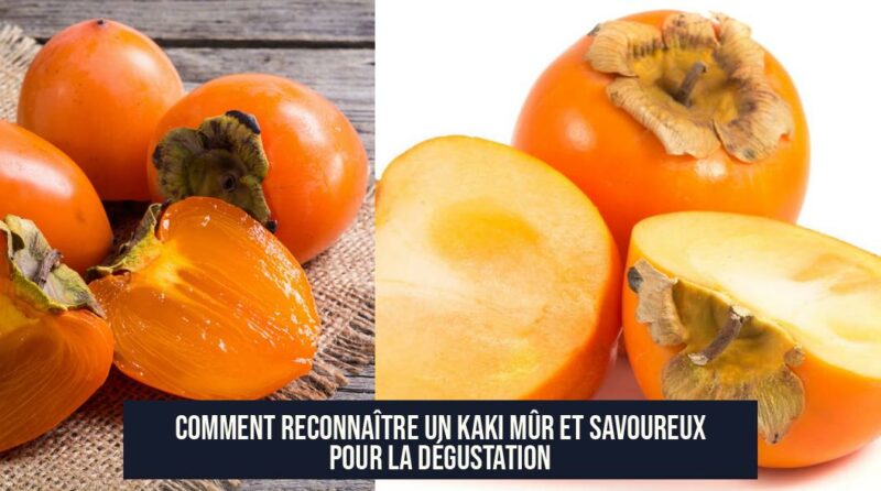 Comment reconnaître un kaki mûr et savoureux pour la dégustation