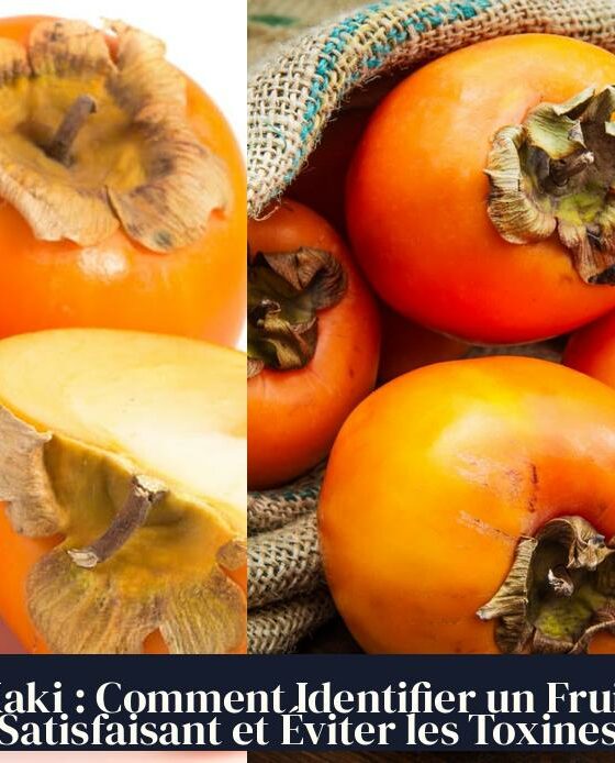 Kaki : Comment Identifier un Fruit Satisfaisant et Éviter les Toxines
