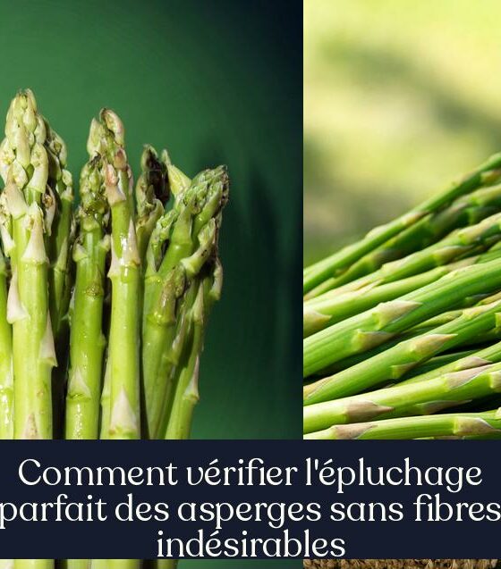 Comment vérifier l'épluchage parfait des asperges sans fibres indésirables
