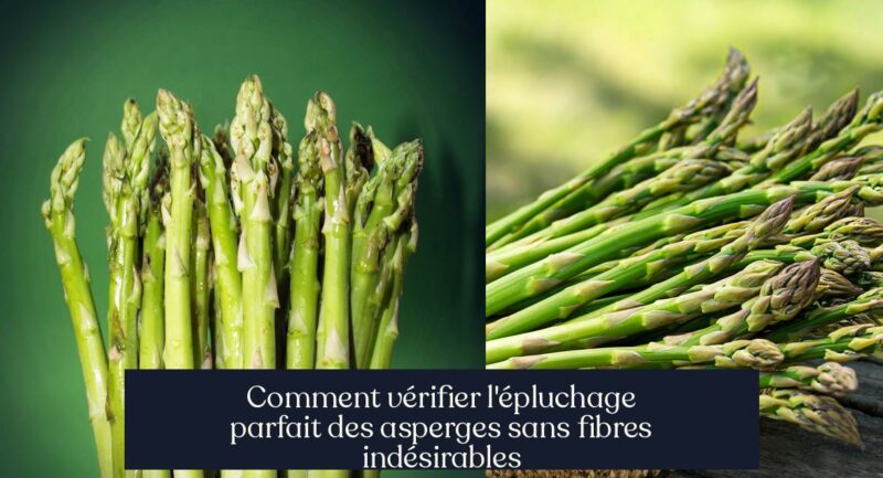 Comment vérifier l'épluchage parfait des asperges sans fibres indésirables
