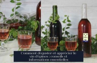 Comment déguster et apprécier le vin d'épines : conseils et informations essentielles