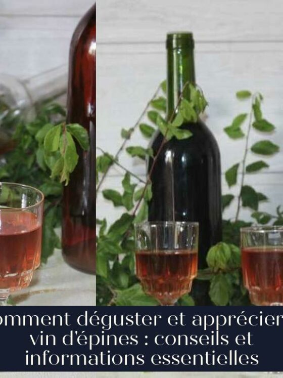 Comment déguster et apprécier le vin d'épines : conseils et informations essentielles