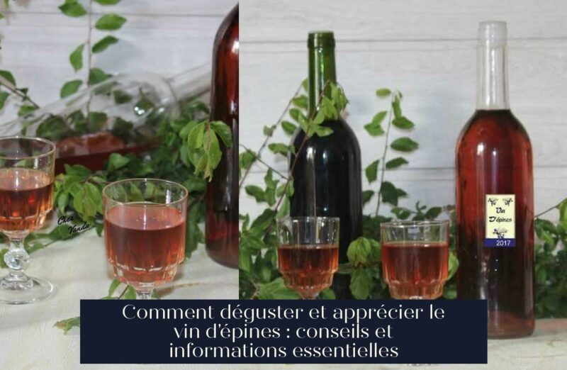Comment déguster et apprécier le vin d'épines : conseils et informations essentielles