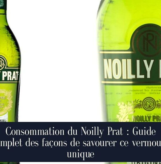 Consommation du Noilly Prat : Guide complet des façons de savourer ce vermouth unique
