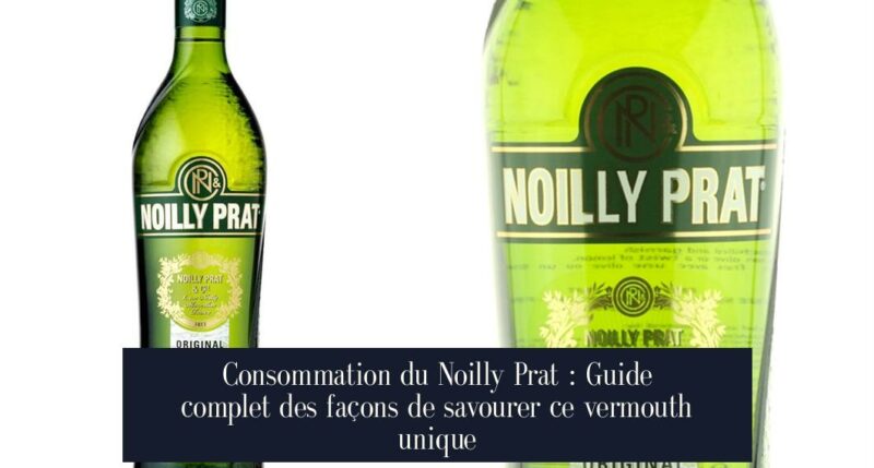 Consommation du Noilly Prat : Guide complet des façons de savourer ce vermouth unique