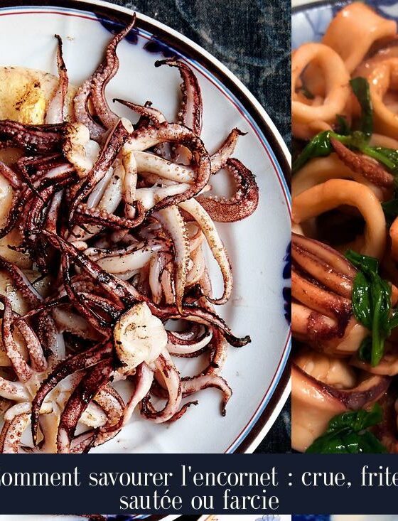 Comment savourer l'encornet : crue, frite, sautée ou farcie