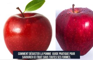 Comment déguster la pomme Guide pratique pour savourer ce fruit sous toutes ses formes.