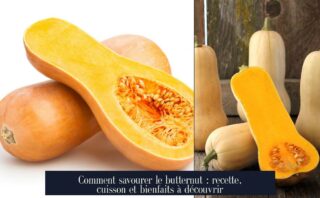 Comment savourer le butternut : recette, cuisson et bienfaits à découvrir