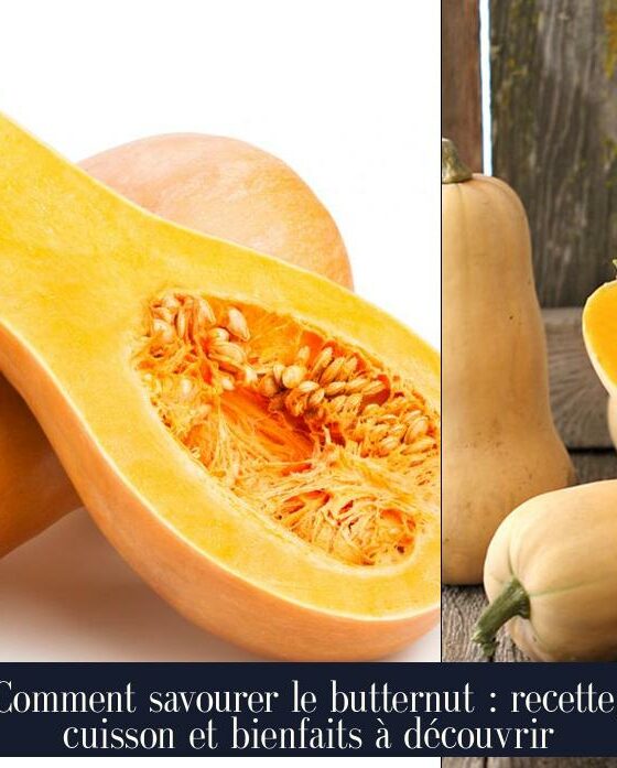 Comment savourer le butternut : recette, cuisson et bienfaits à découvrir