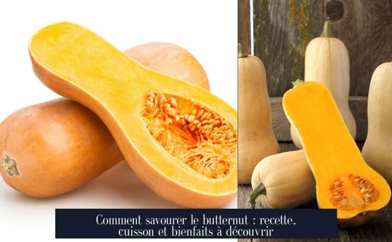 Comment savourer le butternut : recette, cuisson et bienfaits à découvrir