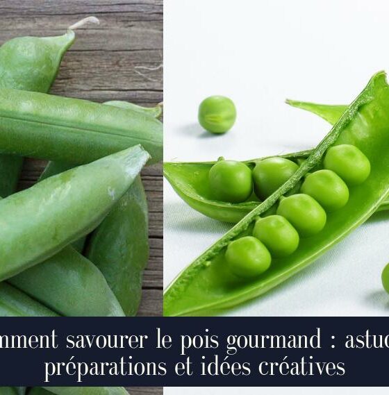 Comment savourer le pois gourmand : astuces, préparations et idées créatives