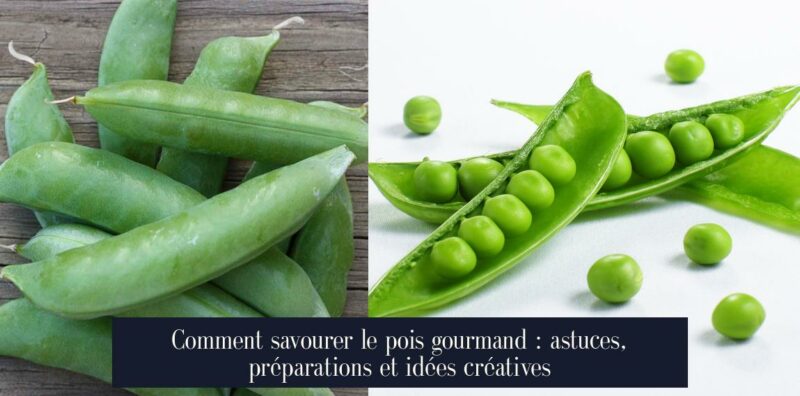 Comment savourer le pois gourmand : astuces, préparations et idées créatives
