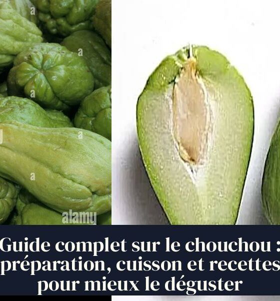 Guide complet sur le chouchou : préparation, cuisson et recettes pour mieux le déguster