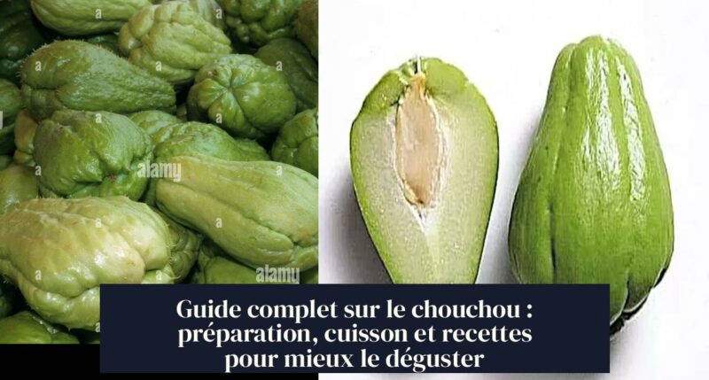 Guide complet sur le chouchou : préparation, cuisson et recettes pour mieux le déguster
