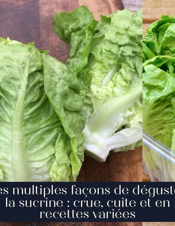 Les multiples façons de déguster la sucrine : crue, cuite et en recettes variées