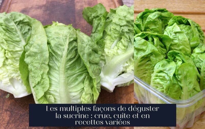 Les multiples façons de déguster la sucrine : crue, cuite et en recettes variées