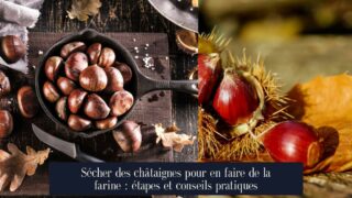 Sécher des châtaignes pour en faire de la farine : étapes et conseils pratiques